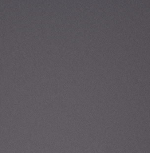 Coach Luka demonstrating proper squat form